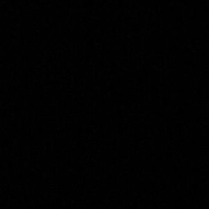 Meet your Posher, Whitney